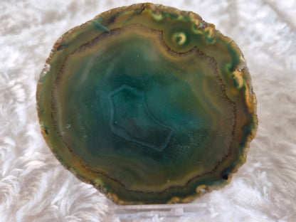 Slab 10 - Colors of the Sea