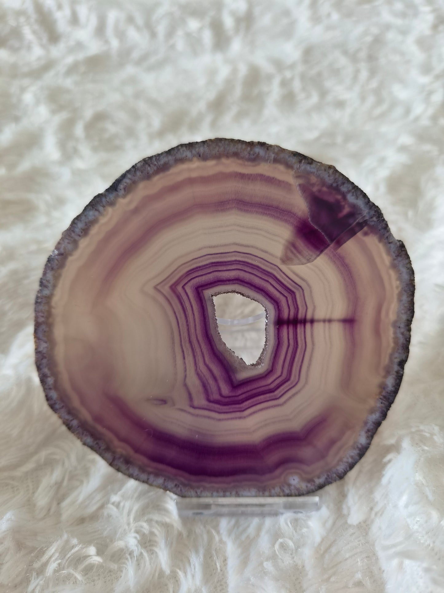 Slab 5 - The Purple Circle